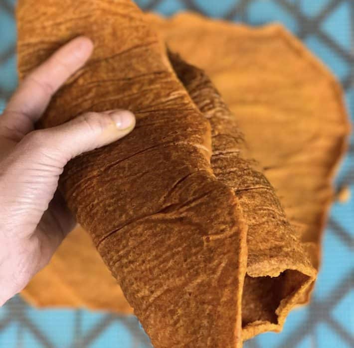 left hand holding a big sheet of orange raw veggie bread folded over on itself