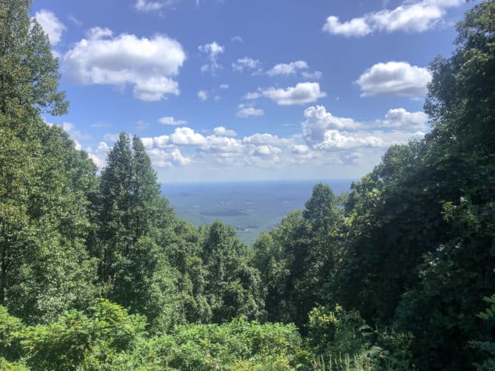 a lookout from the appalachian trail with a forest in the foreground and blue sky in the background