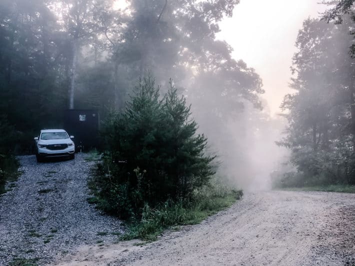 the morning fog overtaking a Getaway cabin and the dirt road