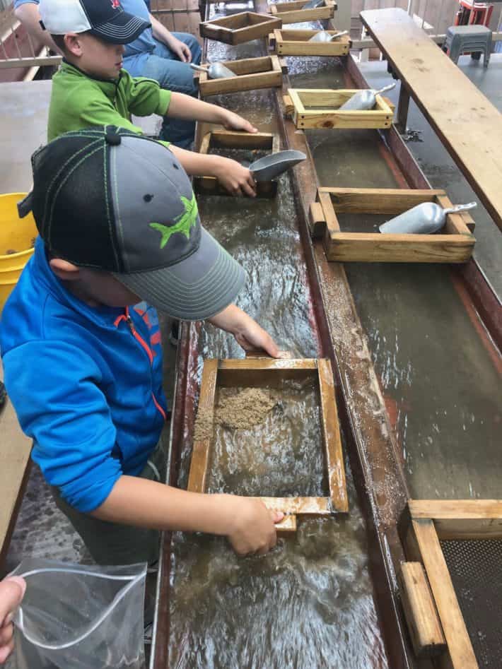 the boys mining for gems at the consolidated gold mine in Georgia