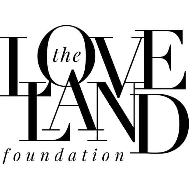 logo of LoveLand foundation