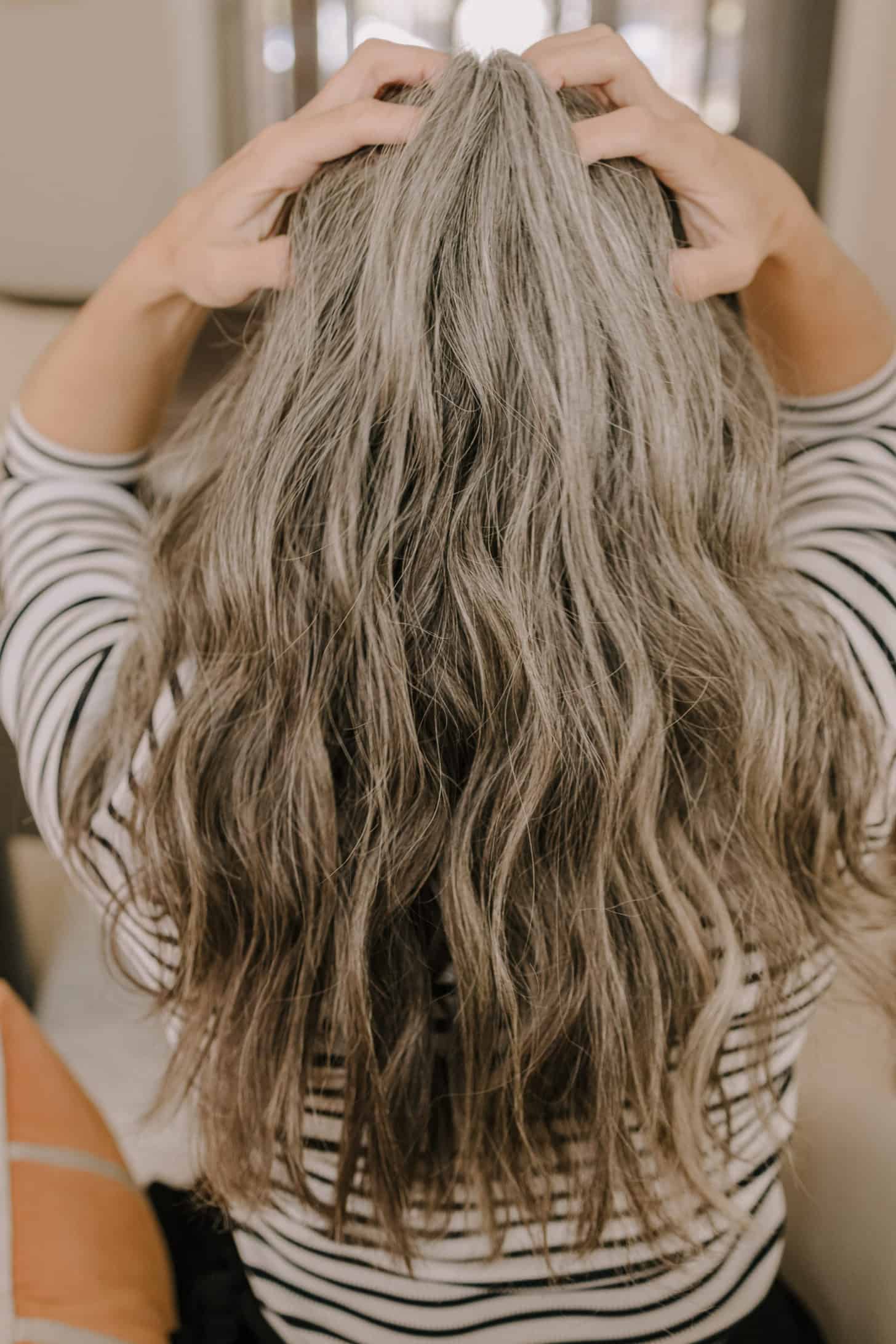 the back of a woman's with long gray and black hair