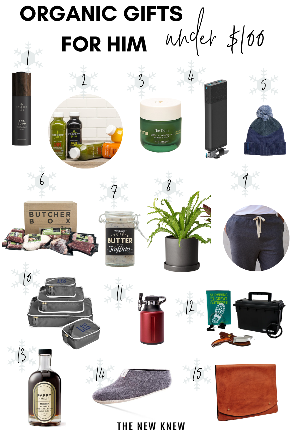 organic gifts for him under $100