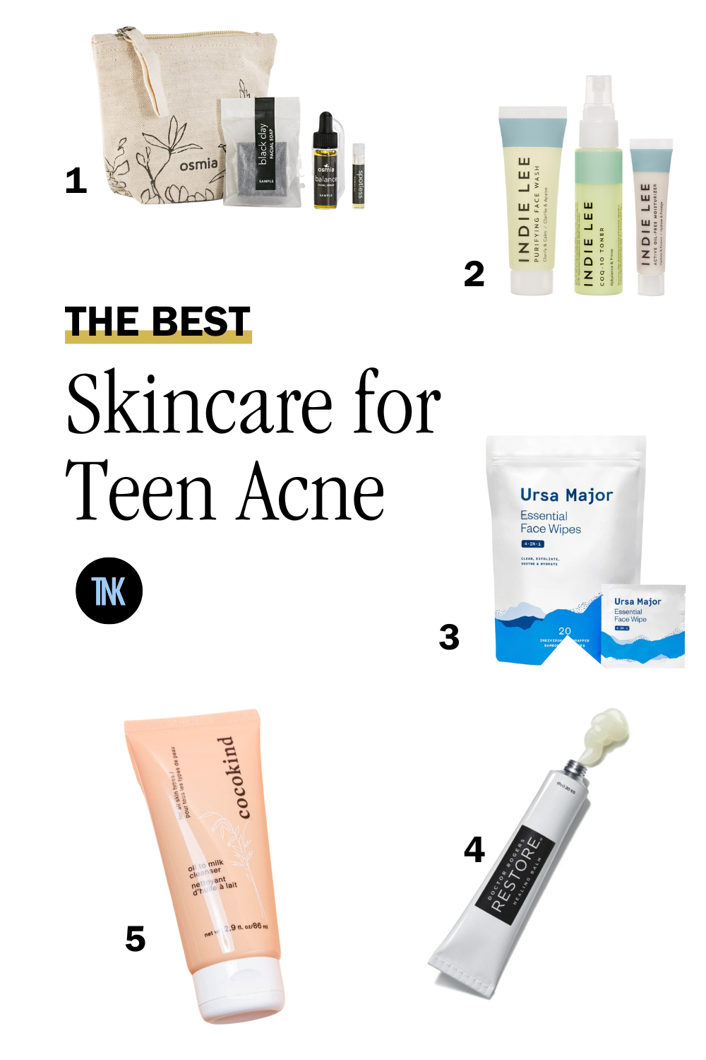 a visual listing of five great products for teen acne