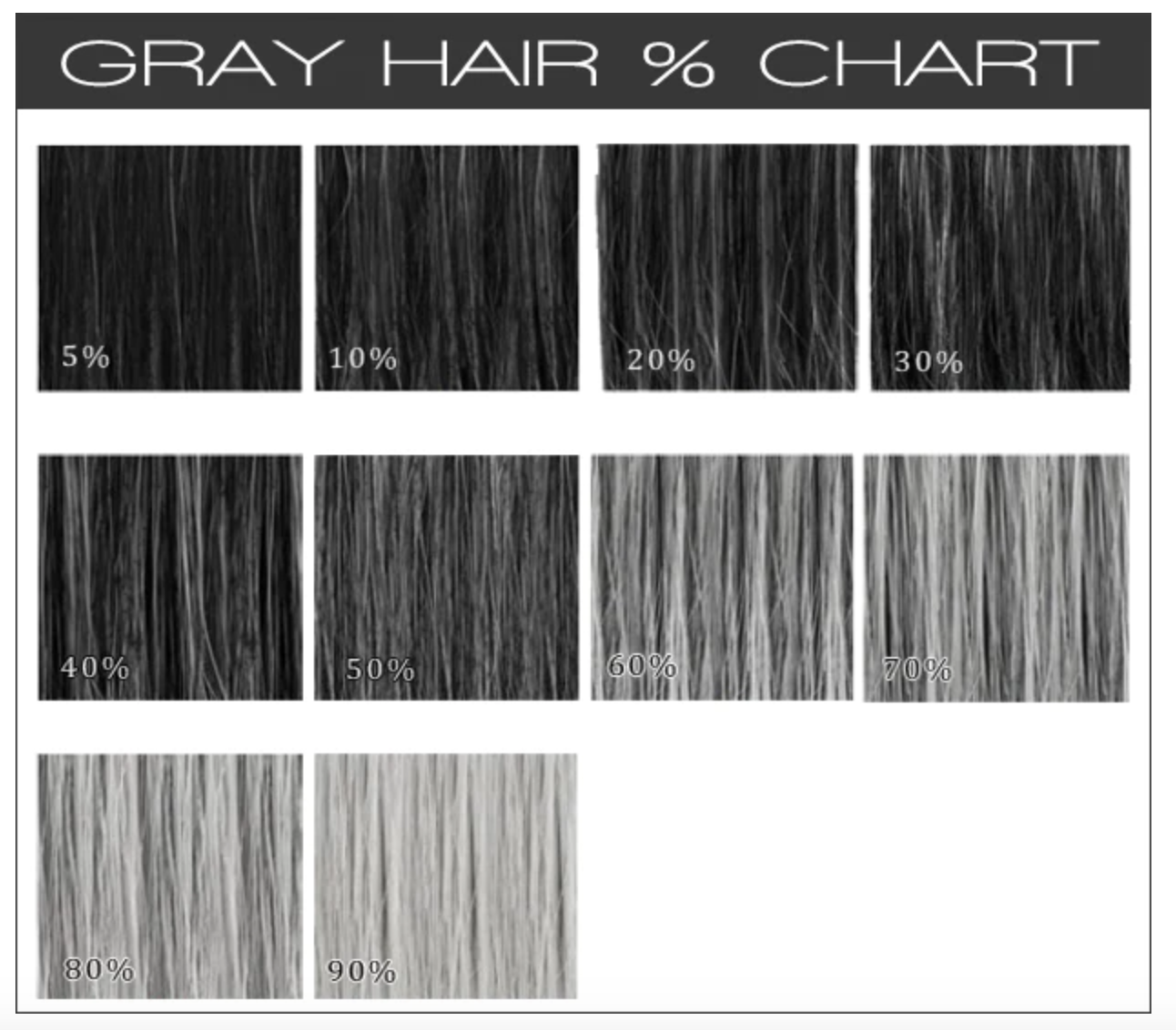 A chart visually showing the percentage of gray hair in colored hair.