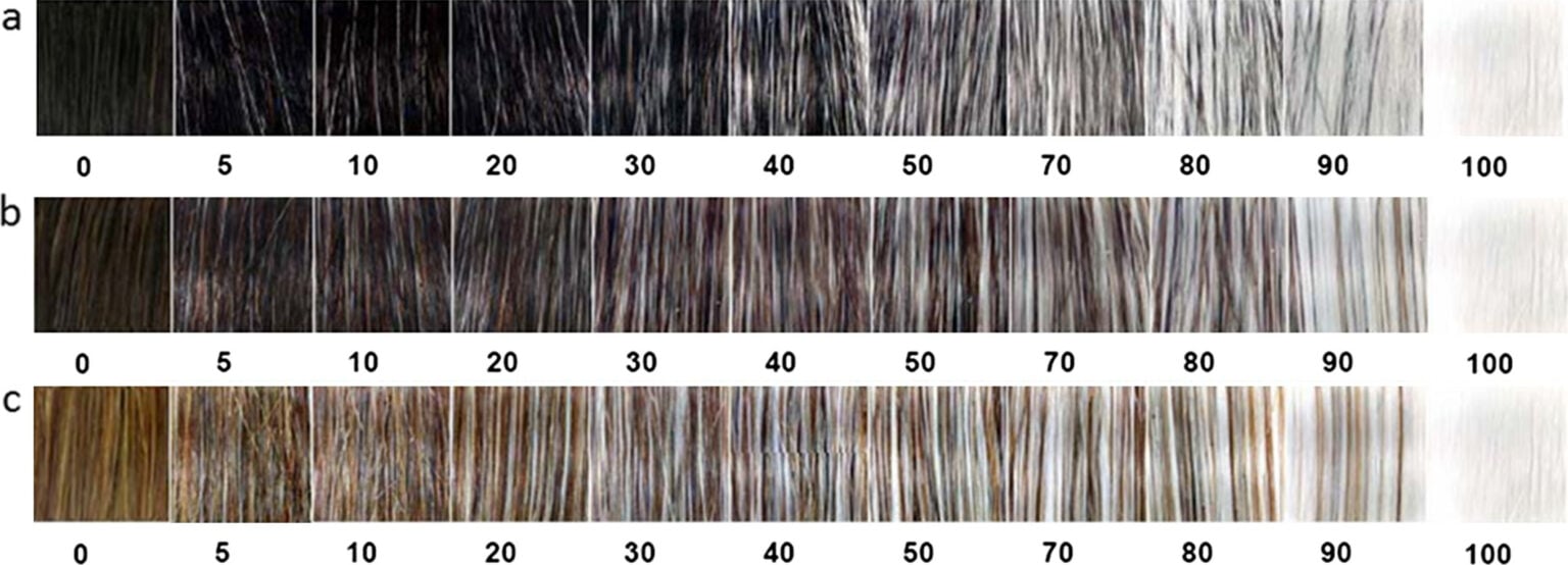 Is Silver Hair the Same as Gray Hair? - The New Knew