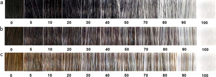 A chart of hair colors showing the percentage of gray hair.