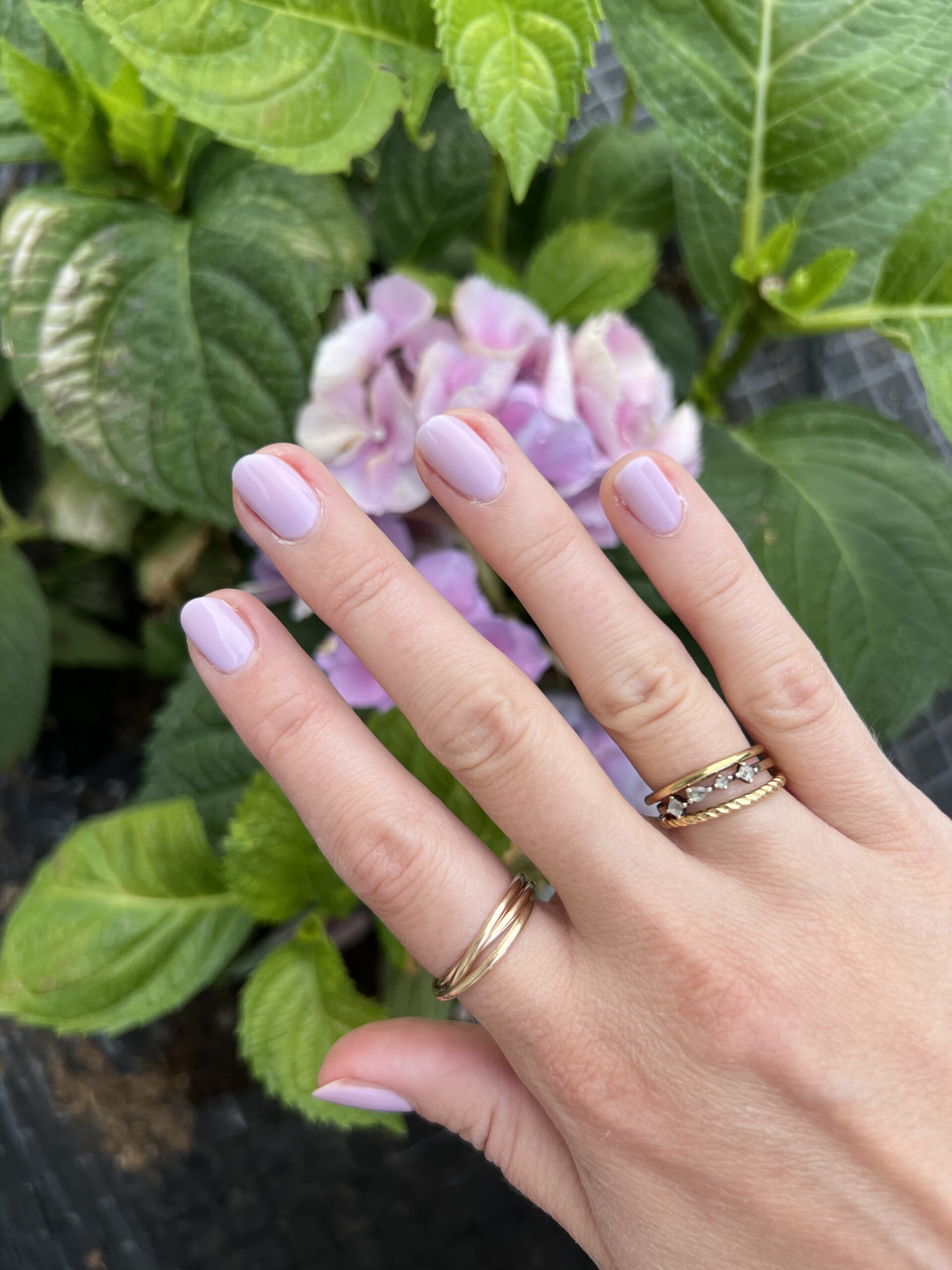 A woman's hand with gold rings and lavender nail polish is stretched out over purple flowers.